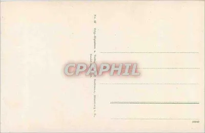 Das Schlachtfeld in den Vogesen. Grenzgebiet bei Saales — Ody-Rigentum u. Velay-Postkarten, Straßburg R. — Rewers