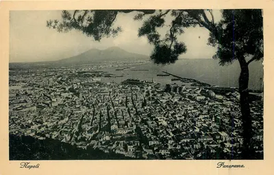 Nápoles — Panorama — Ediz. V. Cavallia, n°42
