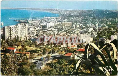 Vista panorâmica de Argel — Edições JEFAL — n° 1006