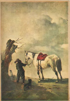 सफेद घोड़ा — एन.वी. जेस्ट एंड ज़न. एंडहोवेन — संख्या 5 वूलवरमैन 1619-1668