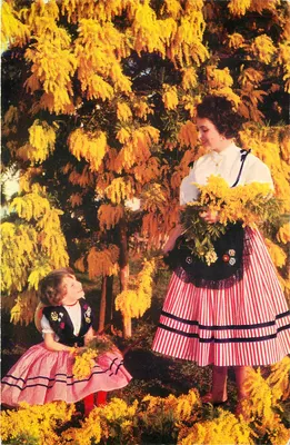 Mulheres e criança sob uma árvore de mimosa — Rexcolor, n°100