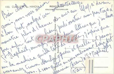 Mulheres e criança sob uma árvore de mimosa — Rexcolor, n°100 — Verso