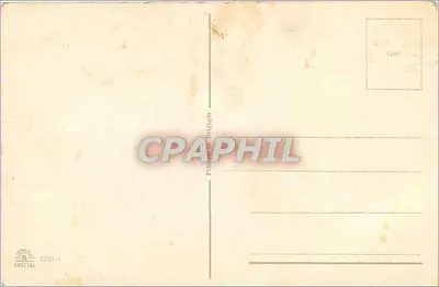 Ptak na gałęzi — jesień — Prinzen Belgium — Rewers