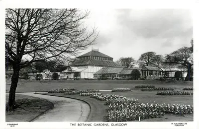Jardins Botânicos de Glasgow — vista do grande estufa — W. Ralston Ltd, Glasgow