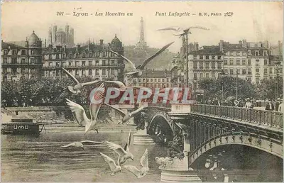 Lyon - Les Mouettes au Pont Lafayette — B.F., PARIS