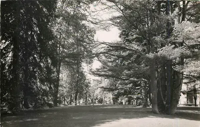 Divonne-les-Bains (Ain) — Um canto do Parque — Editor SELLARD, n° 1143