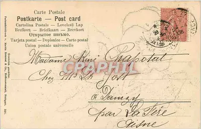 Pansy — kolorowa kwiatka — wydawca: G. Martin & Cie, Stuttgart — Rewers