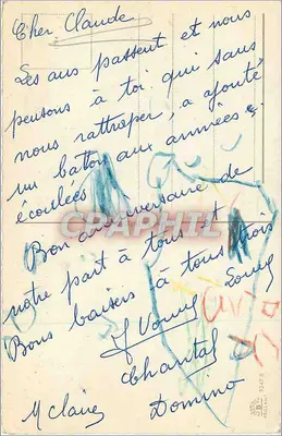 Mazzo di margherite e fiori — Compleanno — Verso