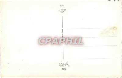 Lilie polowe — Szczęśliwy symbol — Fotokolekcja — Rewers