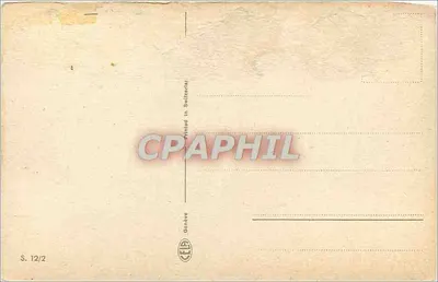 Różowe kwiaty na górze — krajobraz alpejski — S. 12/2 — Rewers