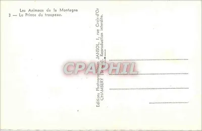 O Príncipe do rebanho — Os Animais da Montanha, n°3 — Éditions Jansol, Chambéry — Verso