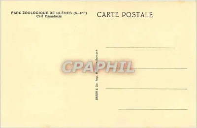 Cervo Pseudaxis — Parque Zoológico de Clères (Sul-Inf.) — BRAUN & Cie, Mulhouse-Dornach — Verso