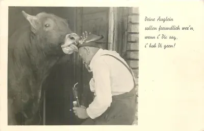 Cabra e homem — cena de fazenda — editor Kempten