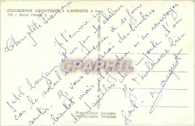 W oazie — Cienista droga wśród palm — R. Pim, n° 821 — Rewers