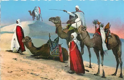 Méharistas procurando a pista através das dunas — Scènes & Types da África do Norte, n°8.190 — Éditions A. D. I. A.