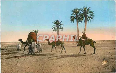 Cenas e Tipos – No Deserto — Cie des Arts Romantiques, n° 1280