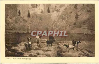 Lago dos Perches — vista de montanha com cabras — série 2253, editada por BRAUN & Cie, Imp. Editora, Dornach