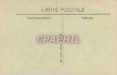 A GRANDE COTE — Os Pinheiros Tordos — BR - 4874 — Verso