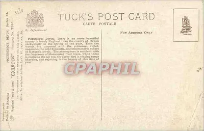 Un ruscello in una foresta, Devon — dipinto di G. H. Jenkins — editore Tuck & Sons, serie XL, n° 7841 — Verso
