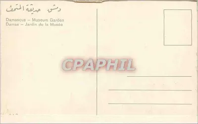 Damask — Ogród Muzeum — wydawca nieznany — Rewers
