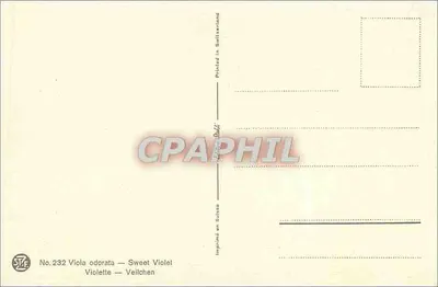 Fioletki — Viola odorata — STF Édition Beldt, nr 232 — Rewers