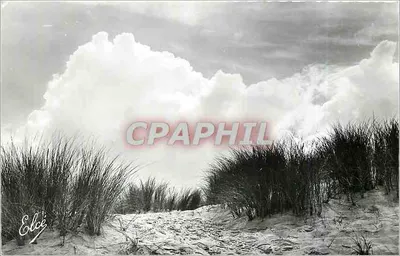 A Duna Selvagem ao Oceano — Souillac-sur-Mer (Gironde) — L. Chartraguau, Reprodução Meridional