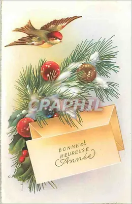 Oiseau et branches de sapin — Bonne et Heureuse Année — C. Vézé, n°4
