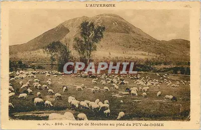 Pacage de Ovelhas ao pé do PUY-de-DOME — A Auvergne — J. Goutefauges, editor (P.-de-D.) — Verso