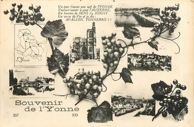 Souvenir da Yonne — carte postale illustrée com vinhedos e vistas de Sens, Auxerre, Avallon e Tonnerre — editor Lefèvre, n° 257
