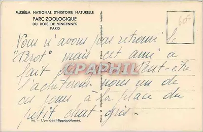 Hipopotam — Muzeum Historii Przyrody, ZOO w Bois de Vincennes — Fotografia i Wydawnictwo Bracia — Rewers