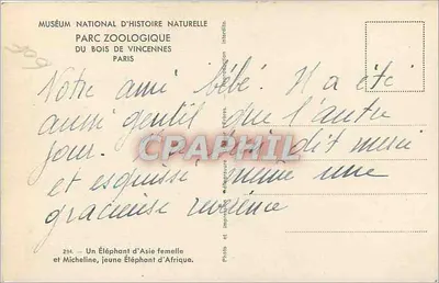 Samoica słonia azjatyckiego i Micheline, młody słon afrykański — Musée national d'Histoire naturelle, ZOO w lesie Vincennes, Paryż — Rewers