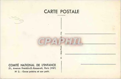 Polarne niedźwiedzie — COMITÉ NATIONAL DE L'ENFANCE, Paryż — Nr 3 — Rewers