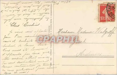 Tulipas — duas flores coloridas — carta postal — Verso
