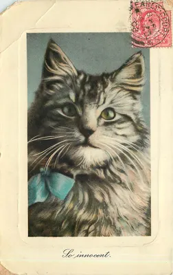 Gato com gravata azul — Tão inocente. — Impresso em Salônica, Série 0112