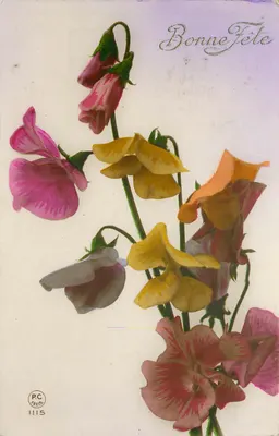 Flores coloridas — Boa festa — P.C. PARIS 1115