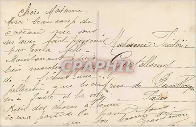 Jovem mulher com rosas — fototipia — Fauvetti, n° 1091 — Verso