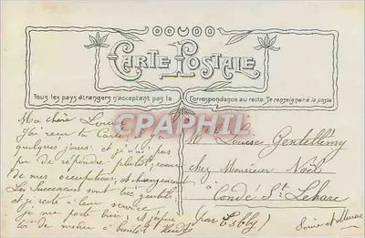 Róża — szczegółowe przedstawienie rośliny — Crossant Paris, n° 3529 — Rewers