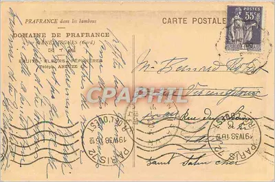 Floresta de bambus — Domínio de Prafrance — editor Prafrance — Verso