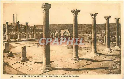 Ruínas romanas de Timgad - Mercado de Sertius — n°14