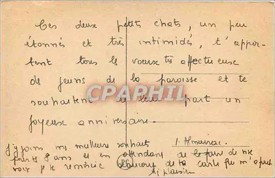 Dois filhotes de gato em um cesto de vime — editor não visível — Verso