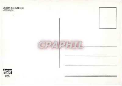 Dwa kotki kolorpoint — MEROJACANA — Bonne Soirée 1996 — Rewers