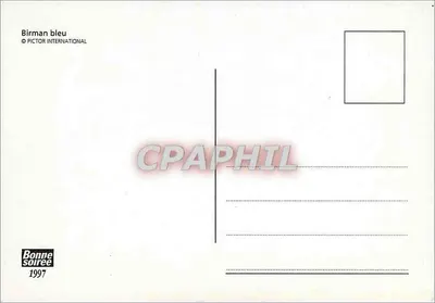 Dois gatos siameses — edição PICTOR INTERNATIONAL — 1997 — Verso