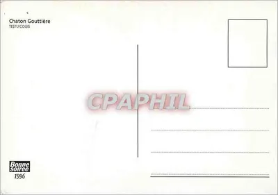 Gatinho Gouttière — TESTU/COGIS — edição — Verso