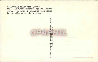 Al louville-Bellefosse — Carvalho milenar com cerca de 1200 anos — Éditeur Mignon, n° 8053 — Verso