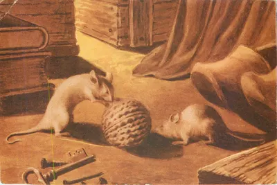 Deux souris — jouant avec une noix — Collection JEUNES ANIMAUX, N° 6