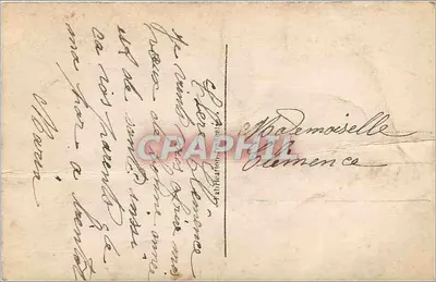 Pansées dans un panier — Souvenir et Pensées — DIX 967/3 — Rewers