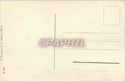 Rheinfall — Zamek Laufen — F. Festersen & Co, Zurych — Rewers