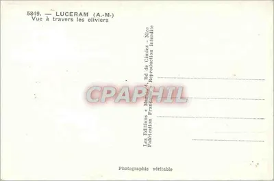 Luceram (A.-M.) — Widok przez oliwki — Wydawnictwo A.-M. — Rewers