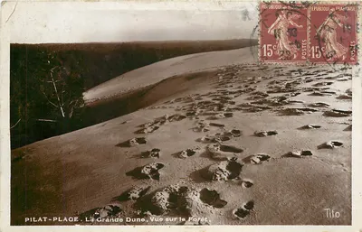 PILAT-PLAGE. A Grande Duna, Vista da Floresta — Tito