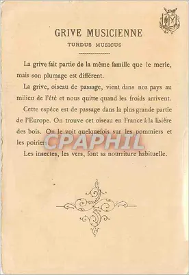 Grive musicienne — (Turdus musicus) — G. Fourny Lecour — Verso